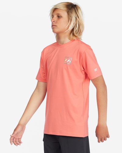 Billabong Crayon Wave Loose Fit Short Sleeve Surf Tee Coral | PATLQ9485