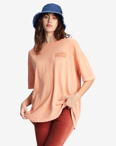 Billabong It's A Trip Oversized Graphic Boyfriend T-Shirt Canyon Sunset | HKELD5894