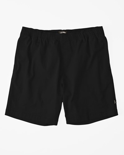 Billabong Larry Layback Shorts 19\