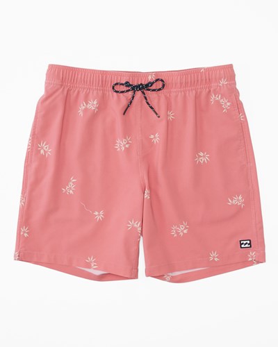 Billabong Sundays Layback Boardshorts 17\