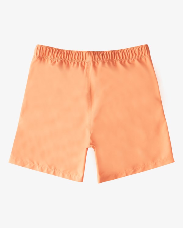 Billabong All Day Layback Boardshorts 16