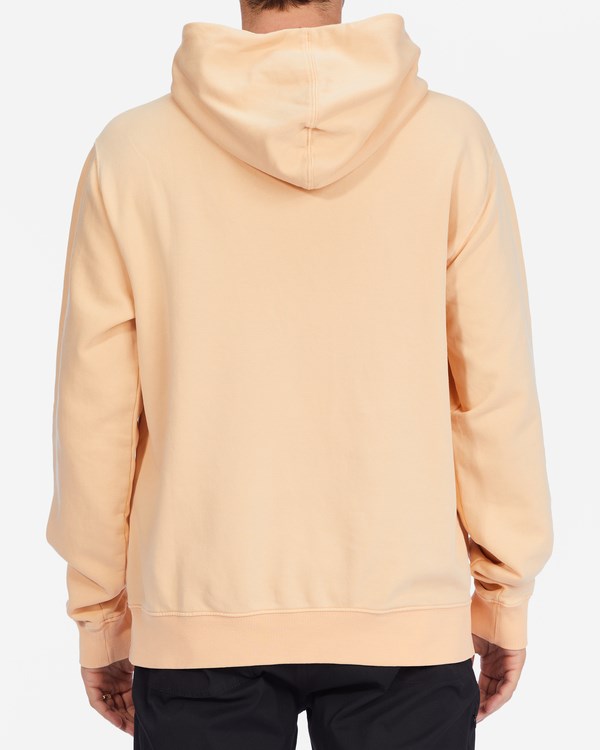 Billabong Wave Washed Pullover Hoodie Dusty Pink | GKOXI0168